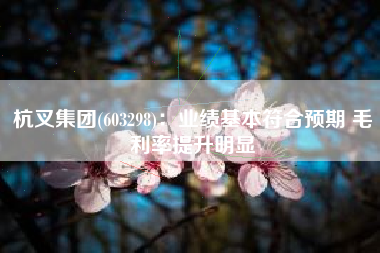 杭叉集团(603298)：业绩基本符合预期 毛利率提升明显