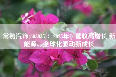 常熟汽饰(603035)：2025年Q1营收高增长 新能源、全球化驱动新成长