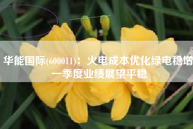 华能国际(600011)：火电成本优化绿电稳增 一季度业绩展望平稳
