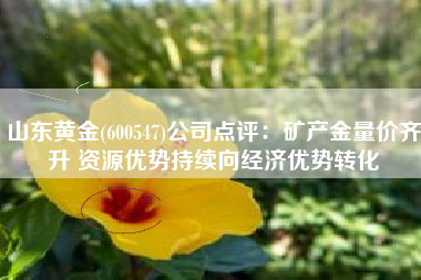山东黄金(600547)公司点评：矿产金量价齐升 资源优势持续向经济优势转化