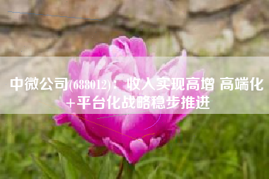 中微公司(688012)：收入实现高增 高端化+平台化战略稳步推进
