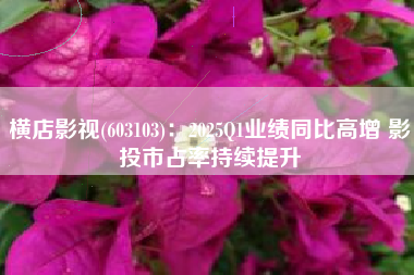 横店影视(603103)：2025Q1业绩同比高增 影投市占率持续提升