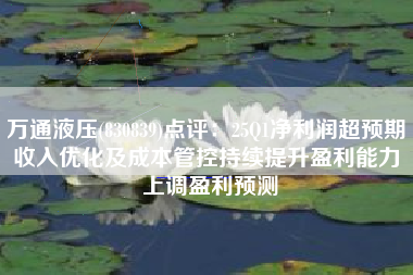 万通液压(830839)点评：25Q1净利润超预期 收入优化及成本管控持续提升盈利能力 上调盈利预测