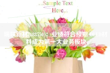 瑞联新材(688550)：业绩符合预期 OLED材料成为第一大业务板块