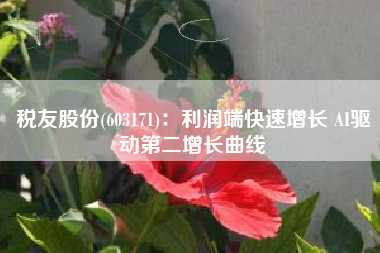 税友股份(603171)：利润端快速增长 AI驱动第二增长曲线