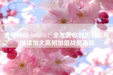 长电科技(600584)：全年营收创历史新高 继续加大高附加值战略布局