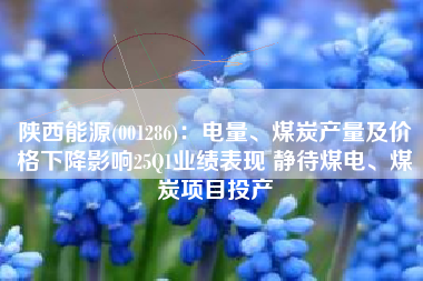 陕西能源(001286)：电量、煤炭产量及价格下降影响25Q1业绩表现 静待煤电、煤炭项目投产