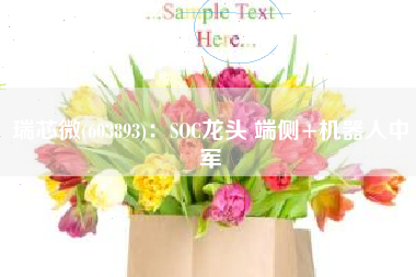 瑞芯微(603893)：SOC龙头 端侧+机器人中军