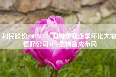 利民股份(002734)：归母净利逐季环比大增 看好公司AI+生物合成布局