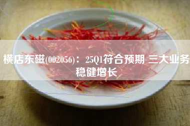 横店东磁(002056)：25Q1符合预期 三大业务稳健增长