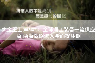 大金重工(002487)：全球海工装备一流供应商 两海战略进入全面提质期