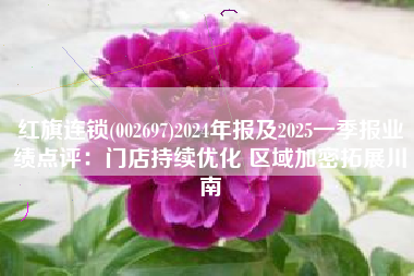 红旗连锁(002697)2024年报及2025一季报业绩点评：门店持续优化 区域加密拓展川南