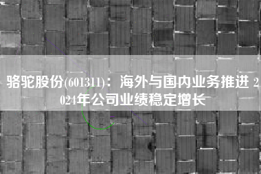 骆驼股份(601311)：海外与国内业务推进 2024年公司业绩稳定增长
