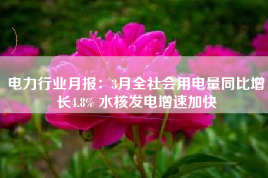 电力行业月报：3月全社会用电量同比增长4.8% 水核发电增速加快