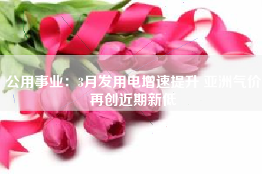公用事业：3月发用电增速提升 亚洲气价再创近期新低