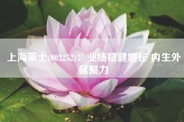 上海莱士(002252)：业绩稳健增长 内生外延聚力