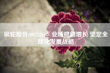 银轮股份(002126)：业绩稳健增长 坚定全球化发展战略