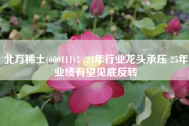 北方稀土(600111)：24年行业龙头承压 25年业绩有望见底反转