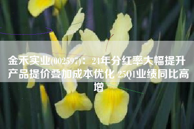 金禾实业(002597)：24年分红率大幅提升 产品提价叠加成本优化 25Q1业绩同比高增