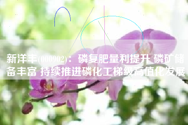 新洋丰(000902)：磷复肥量利提升 磷矿储备丰富 持续推进磷化工梯级高值化发展