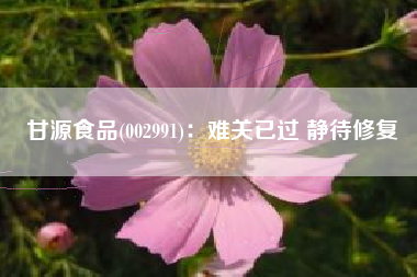 甘源食品(002991)：难关已过 静待修复