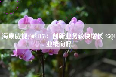 海康威视(002415)：创新业务较快增长 25Q1业绩向好