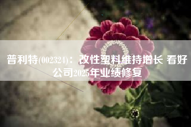 普利特(002324)：改性塑料维持增长 看好公司2025年业绩修复
