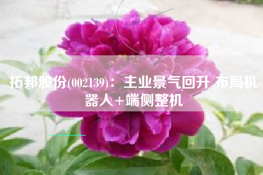 拓邦股份(002139)：主业景气回升 布局机器人+端侧整机