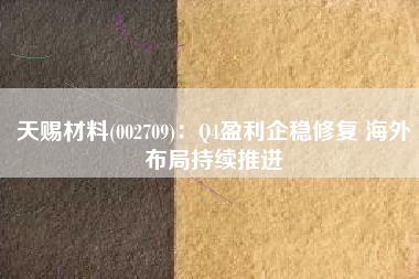 天赐材料(002709)：Q4盈利企稳修复 海外布局持续推进