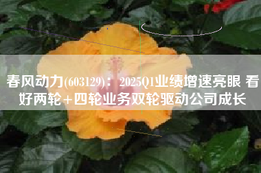 春风动力(603129)：2025Q1业绩增速亮眼 看好两轮+四轮业务双轮驱动公司成长