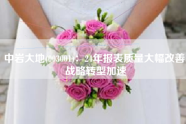 中岩大地(003001)：24年报表质量大幅改善 战略转型加速