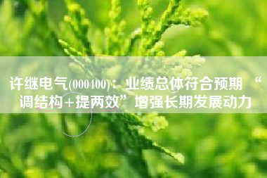 许继电气(000400)：业绩总体符合预期 “调结构+提两效”增强长期发展动力