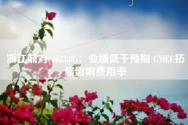 浙江鼎力(603338)：业绩低于预期 CMEC拓展影响费用率