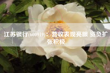 江苏银行(600919)：营收表现亮眼 资负扩张积极