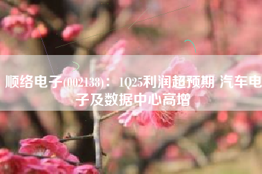 顺络电子(002138)：1Q25利润超预期 汽车电子及数据中心高增