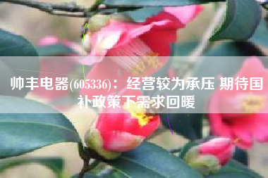 帅丰电器(605336)：经营较为承压 期待国补政策下需求回暖