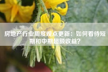 房地产行业周度观点更新：如何看待短期和中期超额收益？