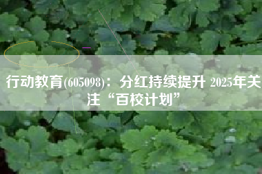 行动教育(605098)：分红持续提升 2025年关注“百校计划”