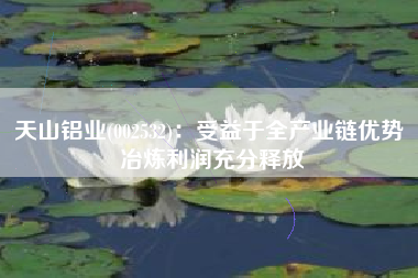 天山铝业(002532)：受益于全产业链优势 冶炼利润充分释放