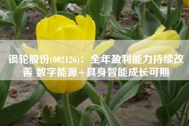 银轮股份(002126)：全年盈利能力持续改善 数字能源+具身智能成长可期