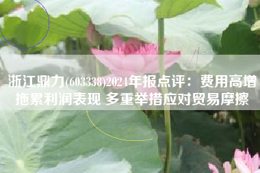 浙江鼎力(603338)2024年报点评：费用高增拖累利润表现 多重举措应对贸易摩擦