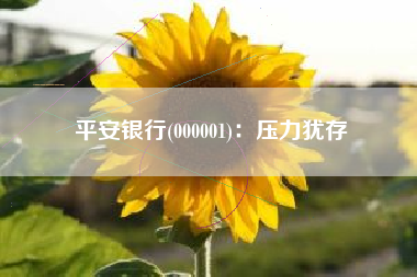 平安银行(000001)：压力犹存