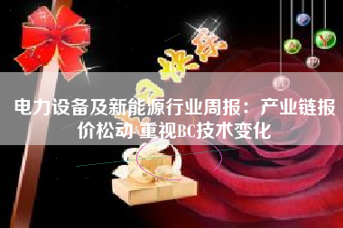 电力设备及新能源行业周报：产业链报价松动 重视BC技术变化
