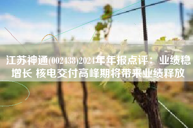 江苏神通(002438)2024年年报点评：业绩稳增长 核电交付高峰期将带来业绩释放