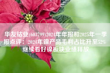 华友钴业(603799)2024年年报和2025年一季报点评：2024年镍产品毛利占比升至52% 继续看好镍板块业绩释放