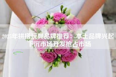 2025年拼搭玩具品牌推荐：本土品牌兴起 下沉市场开发抢占市场