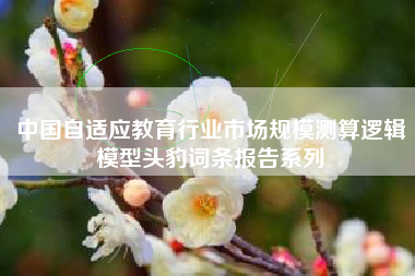 中国自适应教育行业市场规模测算逻辑模型头豹词条报告系列