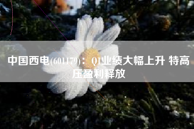 中国西电(601179)：Q1业绩大幅上升 特高压盈利释放