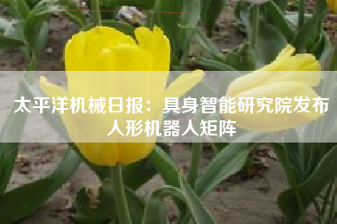 太平洋机械日报：具身智能研究院发布人形机器人矩阵