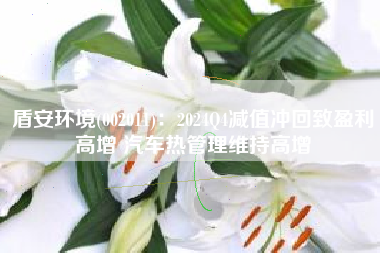 盾安环境(002011)：2024Q4减值冲回致盈利高增 汽车热管理维持高增